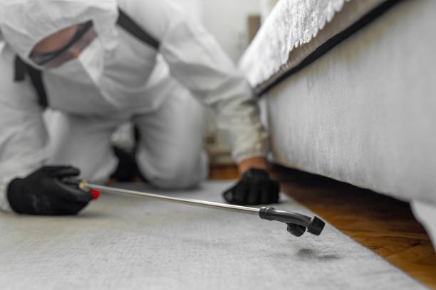 Professional Ant Control technician working in League City, TX