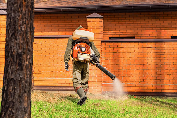 Trusted Cockroach Control service in League City, TX - Nex Pest Control